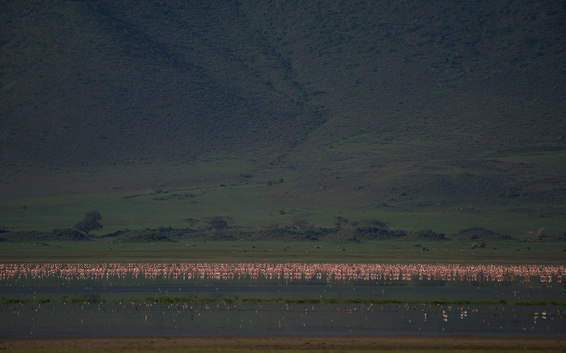 Ngorongoro Conservation Area